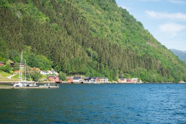 Vik, Norveç 'in Vestlandet bölgesinde Sogn og Fjordane iline bağlı bir belediyedir..