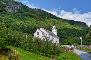 Olmheim Kilisesi Norveç 'in Vestland iline bağlı Sogndal Belediyesi' nde yer alan bir kilisedir..