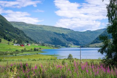 Selseng, Sogn og Fjordane 'nin Sogndal ilçesine bağlı bir köydür. Norveç