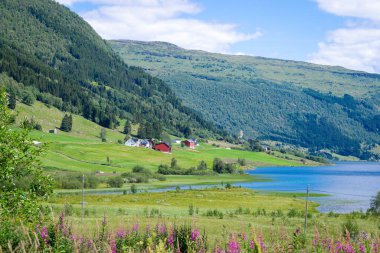 Selseng, Sogn og Fjordane 'nin Sogndal ilçesine bağlı bir köydür. Norveç