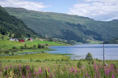 Selseng, Sogn og Fjordane 'nin Sogndal ilçesine bağlı bir köydür. Norveç