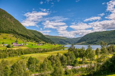 Selseng, Sogn og Fjordane 'nin Sogndal ilçesine bağlı bir köydür. Norveç