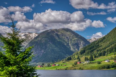 Selseng, Sogn og Fjordane 'nin Sogndal ilçesine bağlı bir köydür. Norveç
