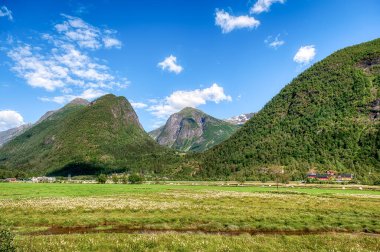 Fjrlandsfjorden Norveç 'in Vestland ilinde bir fiyorttur. Sognefjorden 'den kuzeye doğru uzanan fiyordun bir koludur ve Sogndal belediyesinden geçer.