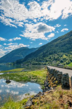 Fjrlandsfjorden Norveç 'in Vestland ilinde bir fiyorttur. Sognefjorden 'den kuzeye doğru uzanan fiyordun bir koludur ve Sogndal belediyesinden geçer.