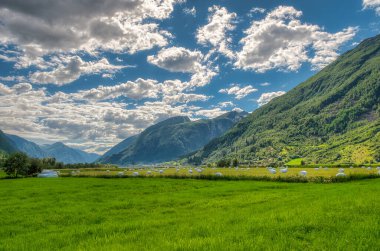 Fjrlandsfjorden Norveç 'in Vestland ilinde bir fiyorttur. Sognefjorden 'den kuzeye doğru uzanan fiyordun bir koludur ve Sogndal belediyesinden geçer.