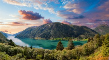 Fjrlandsfjorden Norveç 'in Vestland ilinde bir fiyorttur. Sognefjorden 'den kuzeye doğru uzanan fiyordun bir koludur ve Sogndal belediyesinden geçer.