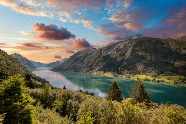 Fjrlandsfjorden Norveç 'in Vestland ilinde bir fiyorttur. Sognefjorden 'den kuzeye doğru uzanan fiyordun bir koludur ve Sogndal belediyesinden geçer.