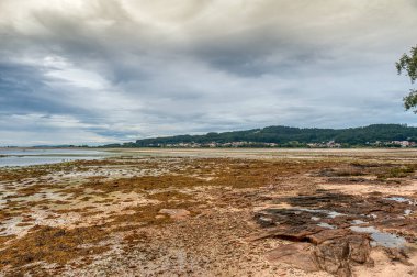 El Grove ya da Ogrobe, İspanya 'nın kuzeybatısında Arosa halklarının girişinde, Salns bölgesinin batı kesiminde yer alan bir belediye ve yarımadadır. Pontevedra, Galiçya.
