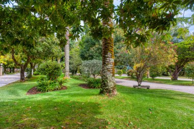 Deniz tarağı kabuklarının kilisesi deniz tarağı kabuklarının inzivası La Toja Adası, Galiçya