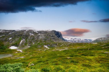 Geiranger, Norveç 'in batısında, Geirangerfjord' un önünde yer alan bir şehirdir..