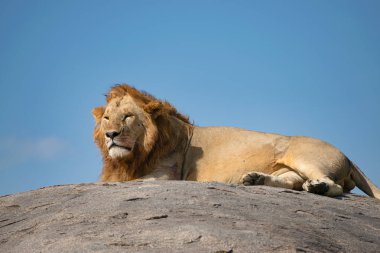 Simiyu, Tanzanya 'nın bir idari bölgesidir. Mart 2012 'de, o zamana kadar Shinyanga Bölgesi' nin bir parçası olarak kurulmuştur. Başkenti Bariadi şehridir..