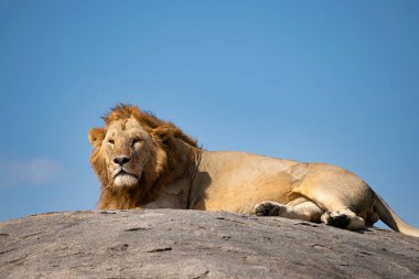 Simiyu, Tanzanya 'nın bir idari bölgesidir. Mart 2012 'de, o zamana kadar Shinyanga Bölgesi' nin bir parçası olarak kurulmuştur. Başkenti Bariadi şehridir..