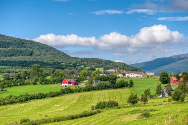 Malmefjorden, Mre og Romsdal 'ın Hustadvika belediyesine bağlı Frnfjorden fiyortlarından biridir.