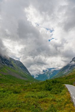 Valldalen, Norveç 'in Mre og Romsdal iline bağlı Fjord Belediyesi' nde bir vadidir. Norddalsfjorden 'in kuzeyinde yer alır.