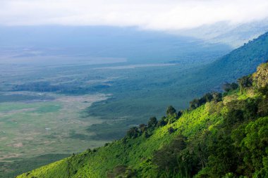 Tanzanya geniş vahşi yaşam alanları ile ünlü bir Doğu Afrika ülkesidir. Bunlar Serengeti Milli Parkı 'nın düzlükleri..
