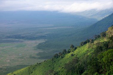 Tanzanya geniş vahşi yaşam alanları ile ünlü bir Doğu Afrika ülkesidir. Bunlar Serengeti Milli Parkı 'nın düzlükleri..