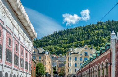 Bergen, Norveç 'in güneybatı kıyısında bir şehirdir. Ülkenin en uzun ve en derin fiyordu olan Sognefjord da dahil olmak üzere dağlar ve fiyortlarla çevrilidir..