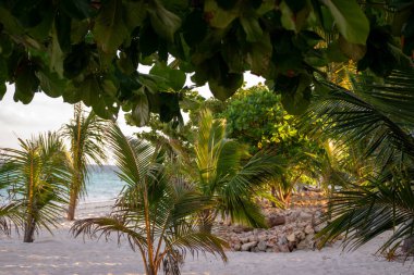 Unguja ya da Zanzibar Adası, Tanzanya 'nın Zanzibar adasının ana adasıdır. Afrika