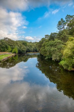 Zas, Galiçya 'nın otonom bölgelerinden biri olan Galiçya' nın La Corua ili ve Tierra de Soneira bölgesine bağlı belediyesi.