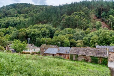 Taramundi, Asturias ilinin Asturias ilçesine bağlı bir belediyedir. Taramundi, Afrika ülkesi Lugo 'nun toplamda var olan bir şehirdir. İspanya