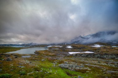 Fortun, Norveç 'in Vestland ilinin Lustre Belediyesi' ne bağlı bir köydür. Köy Fortundalen Vadisi 'nde.,