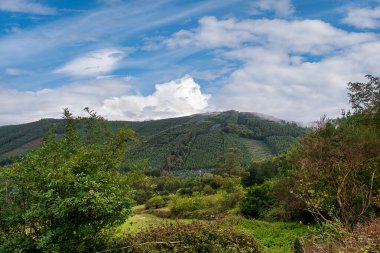 Pontenova, Galiçya 'nın Lugo ilinin Puente Nuevo ilçesine bağlı bir kasabadır..