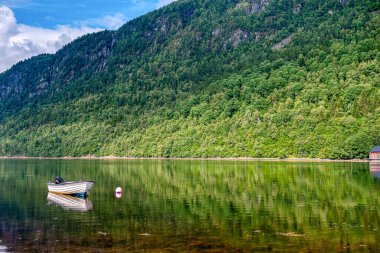 Vinjeora, Norveç 'in Trndelag ilinin Heim belediyesine bağlı bir köydür.