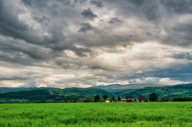 Rindal es el centro manativo del municipio de Rindal en el condado de Trndelag, Noruega