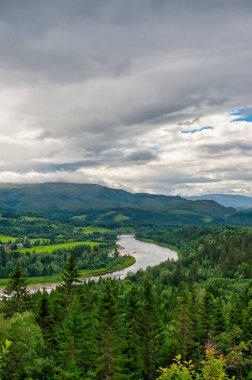 Medja veya Grong, Norveç 'in Trondelag ilinde Grong Belediyesinin yönetim merkezi olarak hizmet veren bir köydür..