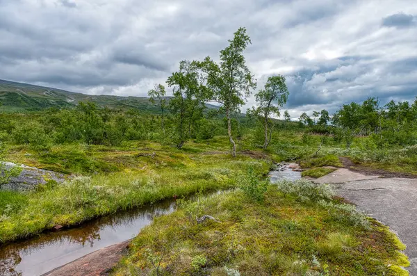 Rokland, Norveç 'in Nordland ilinin Saltdal Belediyesine bağlı bir köydür..