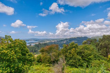 Puentedeume İspanya 'nın otonom bölgelerinden biri olan Galiçya' nın kuzeybatısında bulunan A Corua eyaletine bağlı belediyesi.