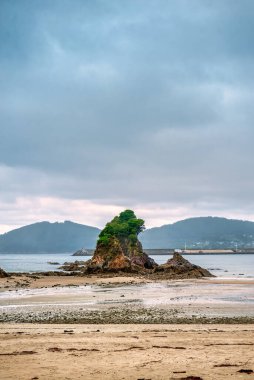 Vivero, İspanya 'nın Galiçya eyaletinde yer alan bir şehirdir..