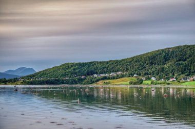 Ankenes, Norveç 'in Nordland iline bağlı Narvik Belediyesi' nin bir köyü..