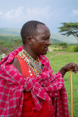 Masailer, Kenya 'nın güneyinde ve Tanzanya' nın kuzeyinde yaşayan yaklaşık 850.000 kişilik bir grup. Doğu Nilotik bir dil olan Maa dilini konuşuyorlar..