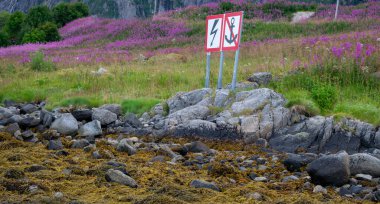 Myrland Sahili manzaraları, Lofoten Adaları, Noruega