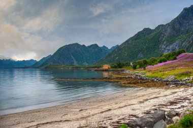 Myrland Sahili manzaraları, Lofoten Adaları, Noruega