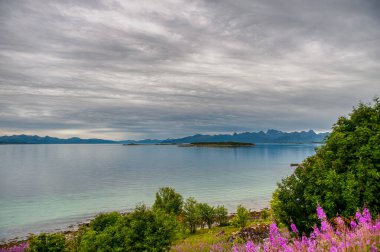 Myrland Sahili manzaraları, Lofoten Adaları, Noruega