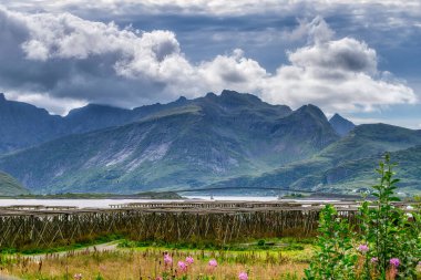 Ramberg, Norveç 'in Nordland ilinde Flakstad Belediyesi' nin yönetim merkezidir. Köy, Lofoten takımadasındaki Flakstadya adasında yer almaktadır.