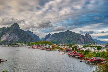 Reine, Norveç 'in Nordland ilinin Moskenes belediyesinin yönetim merkezi ve balıkçı köyüdür. Moskenesoya adasında yer almaktadır..