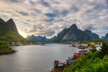 Reine, Norveç 'in Nordland ilinin Moskenes belediyesinin yönetim merkezi ve balıkçı köyüdür. Moskenesoya adasında yer almaktadır..