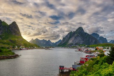 Reine, Norveç 'in Nordland ilinin Moskenes belediyesinin yönetim merkezi ve balıkçı köyüdür. Moskenesoya adasında yer almaktadır..