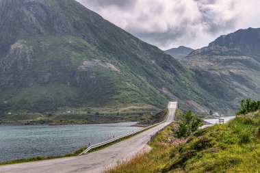 Flakstad, Norveç 'in Lofoten Adaları' nda bir belediyedir. Flakstadoya adasında yer almaktadır. Belediyenin yönetim merkezi Ramberg 'dir.,