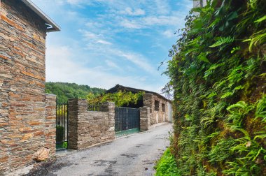 Renche, Galiçya 'nın Lugo iline bağlı Samos belediyesine bağlı bir köydür..