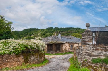 Renche, Galiçya 'nın Lugo iline bağlı Samos belediyesine bağlı bir köydür..