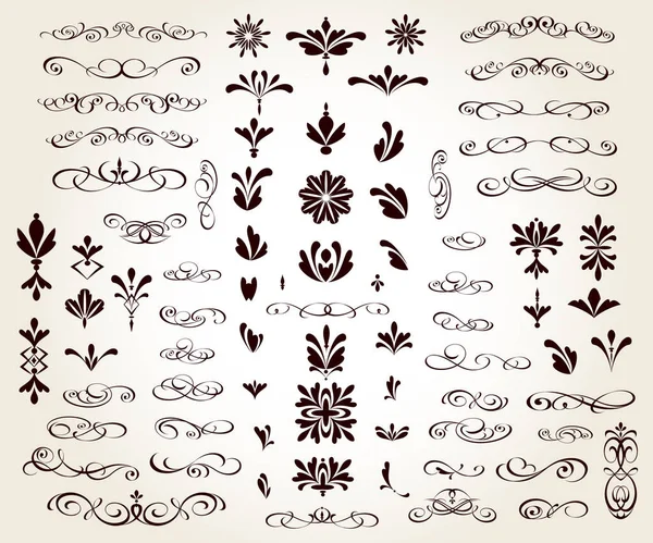 Set Floral Decorative Elements Design Isolated Editable Largest Best Collection Royalty Free Stock Ilustrace