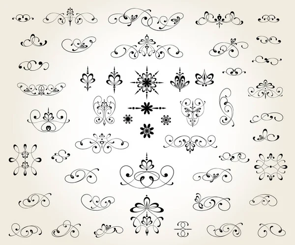 Sada Květinových Dekorativních Elsada Květinových Dekorativních Prvků Pro Design Izolovaných — Stockový vektor
