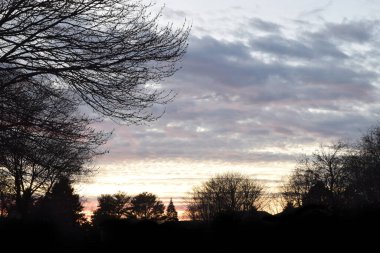 Siluetli kış ağaçlarıyla göz kamaştırıcı bir gün batımı.. 