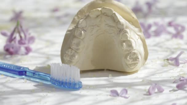 Molde Dental Escova Dentes Azul Fechar — Vídeo de Stock