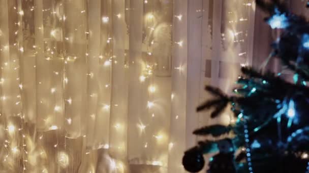 Noel Süsü Kayma Hareketi Yüksek Kalite Görüntü — Stok video